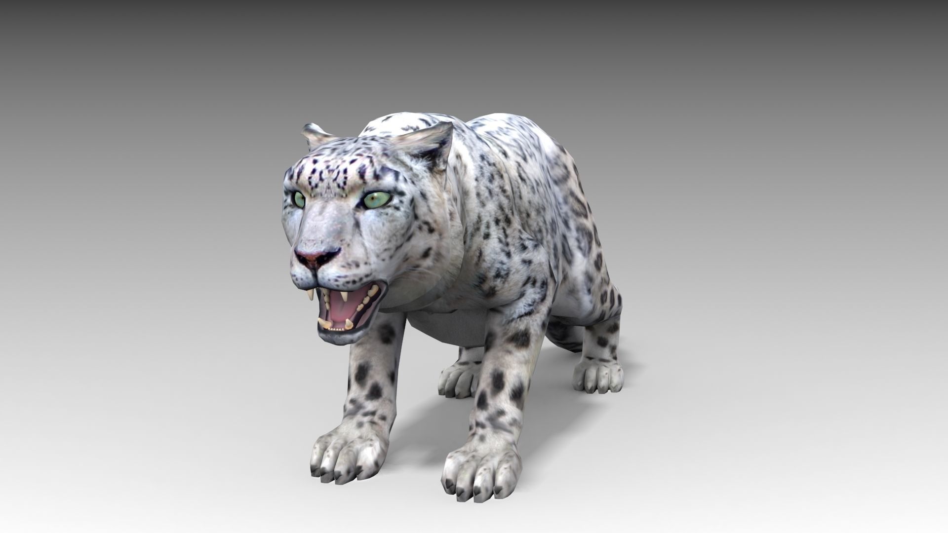 Snow Leopard Low-poly 3D model_6