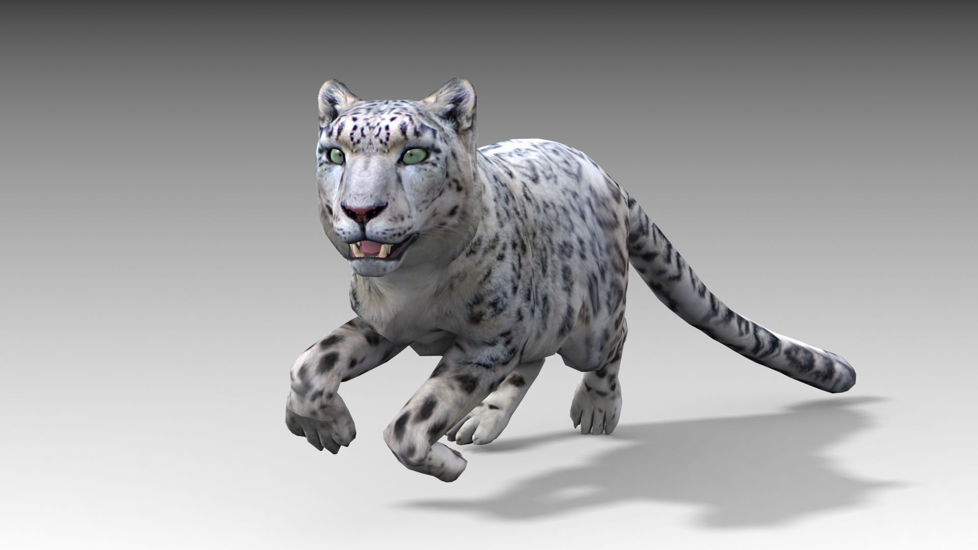 Snow Leopard Low-poly 3D model_3