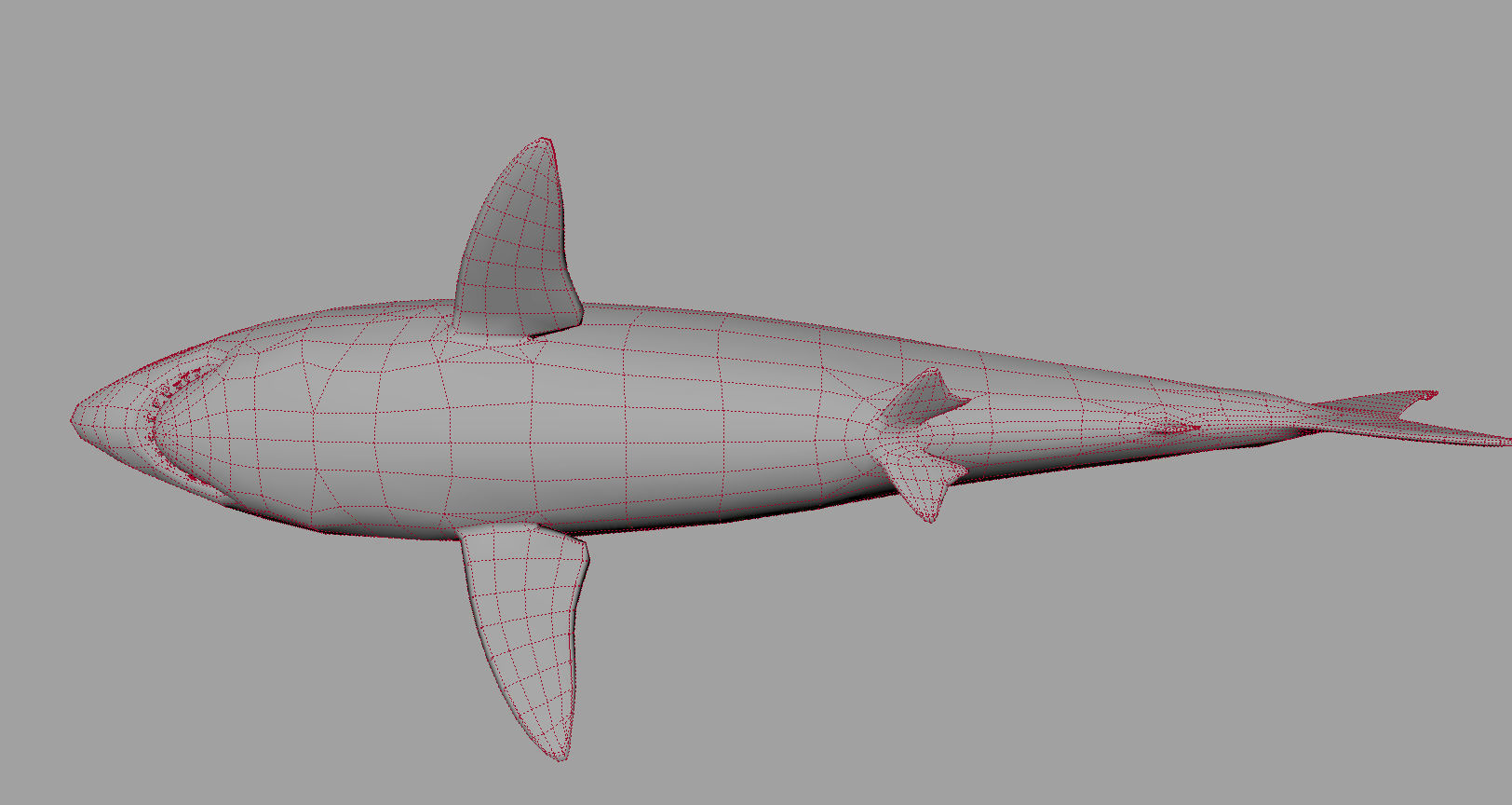 Animal - Shark Low-poly 3D model_15