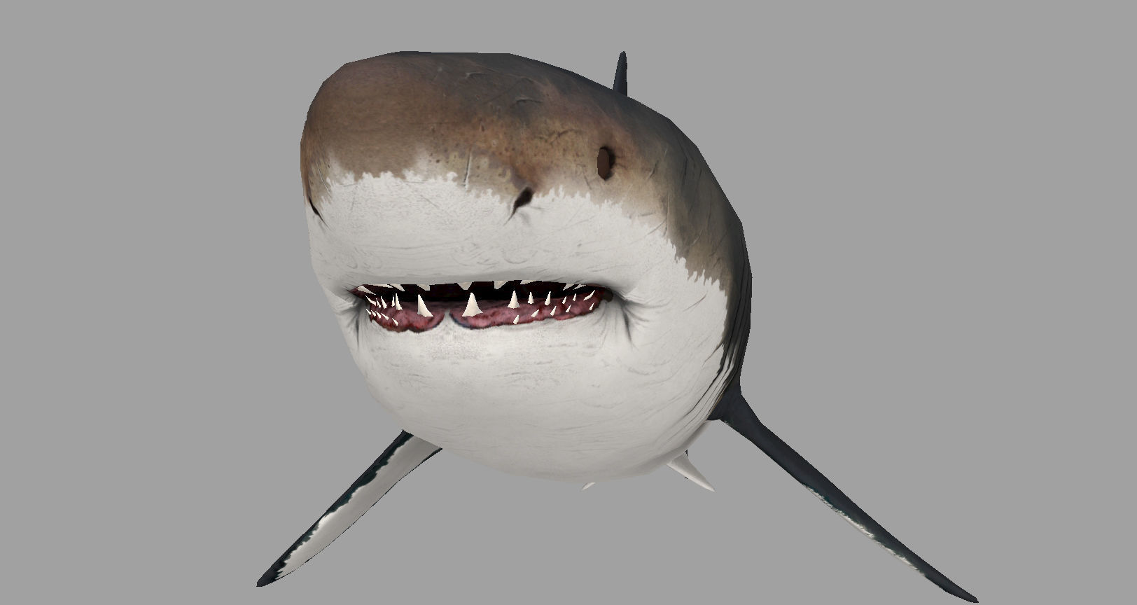 Animal - Shark Low-poly 3D model_2
