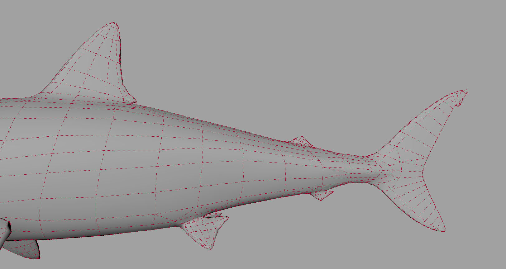 Animal - Shark Low-poly 3D model_13