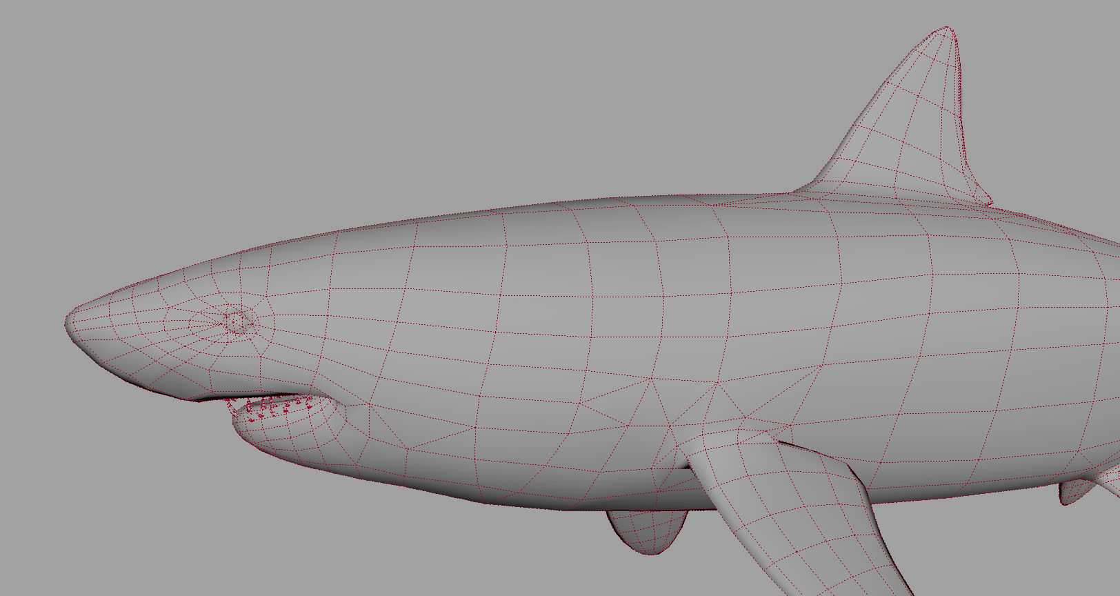 Animal - Shark Low-poly 3D model_14