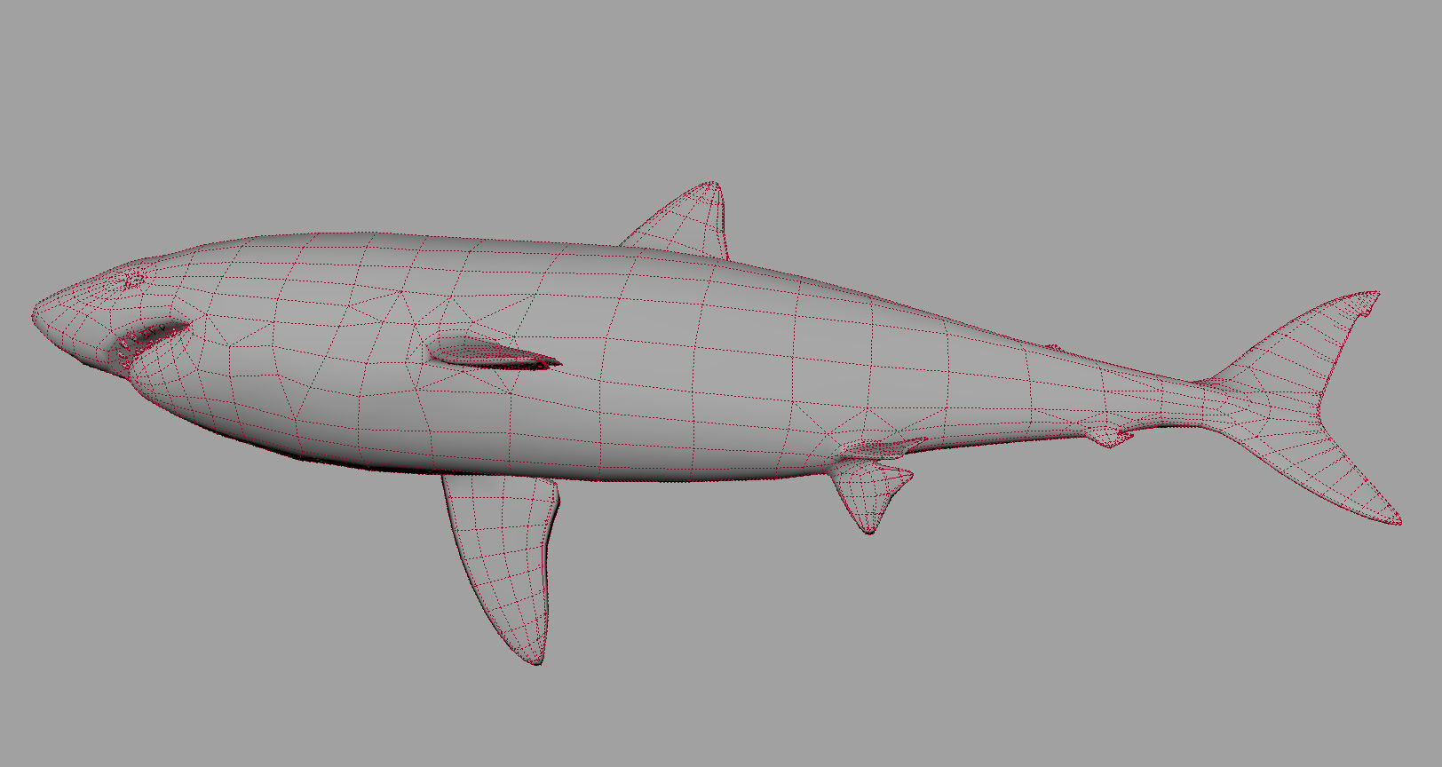 Animal - Shark Low-poly 3D model_16