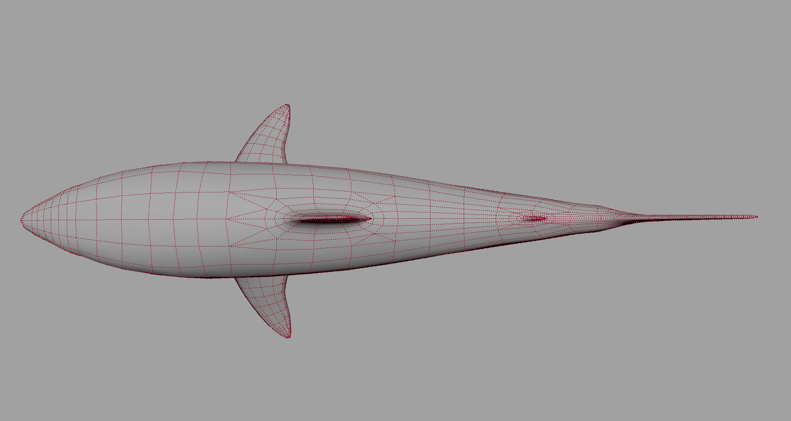Animal - Shark Low-poly 3D model_17