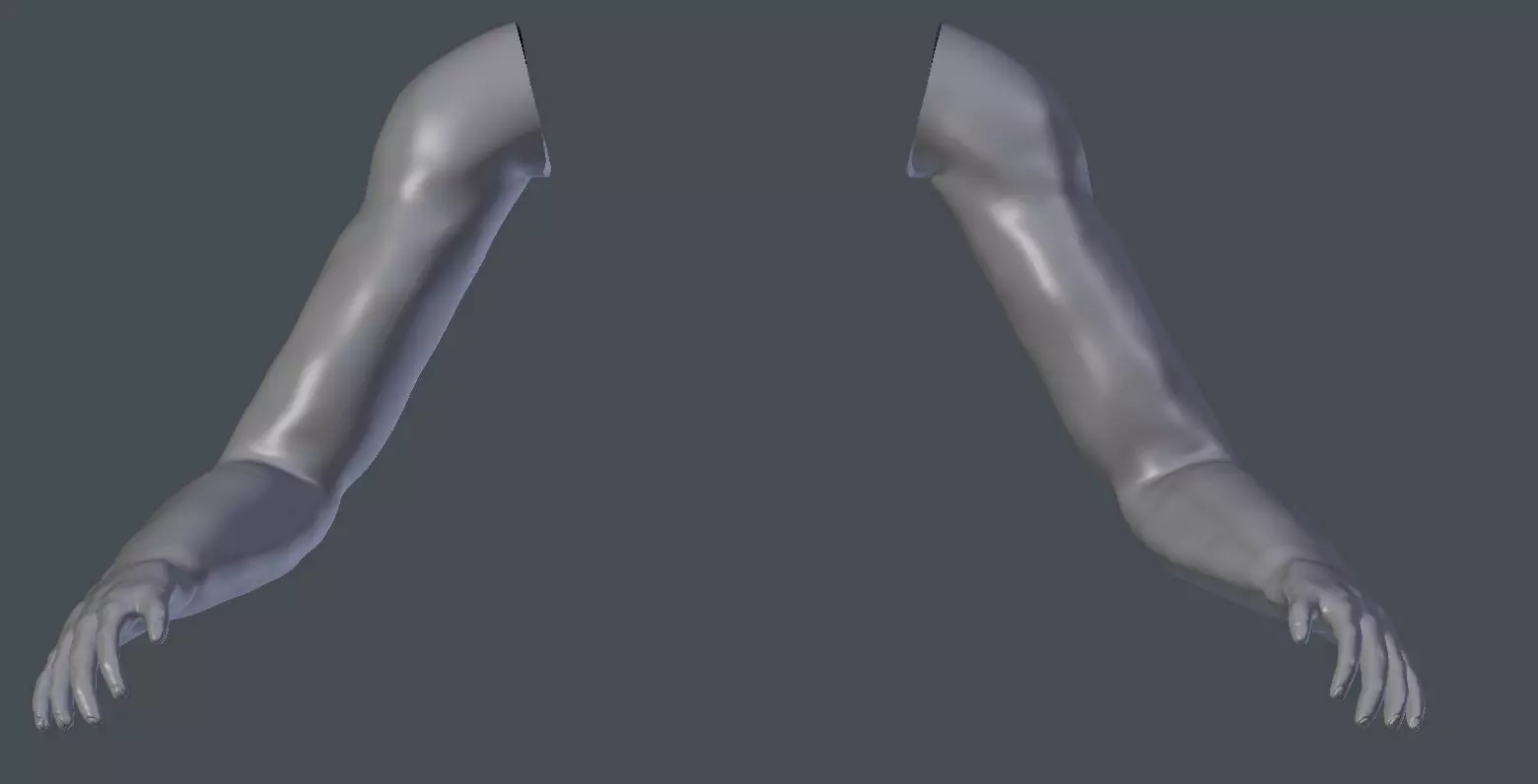 First person arms 3d model man 3D model_0