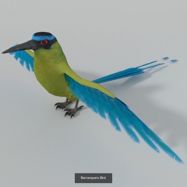 20 Low poly Amazonic Animals Pack 3D Model Collection_9