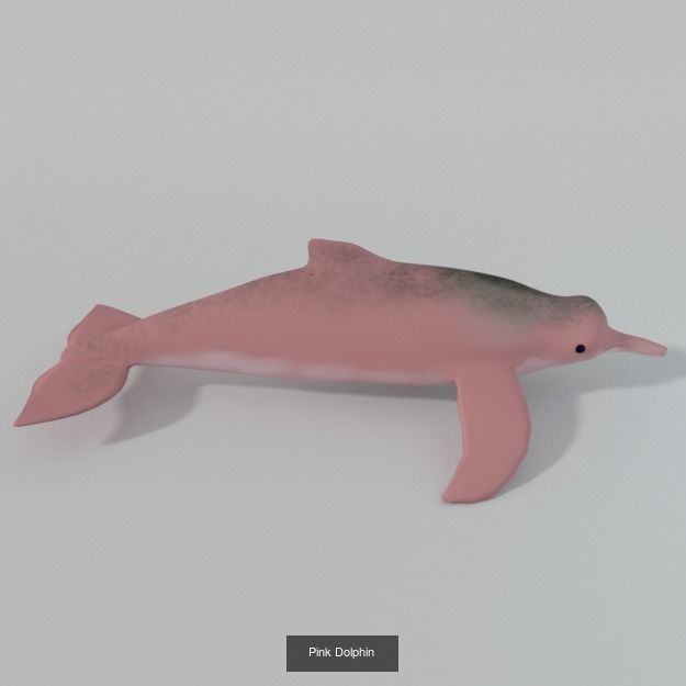 20 Low poly Amazonic Animals Pack 3D Model Collection_6