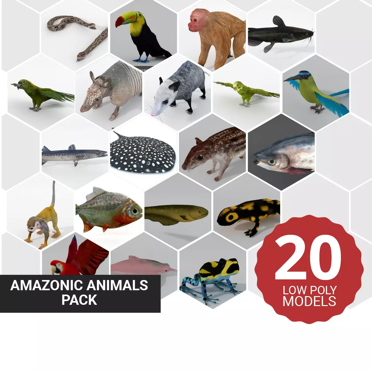 20 Low poly Amazonic Animals Pack 3D Model Collection_0