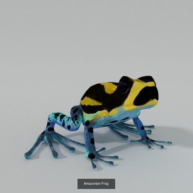 20 Low poly Amazonic Animals Pack 3D Model Collection_4