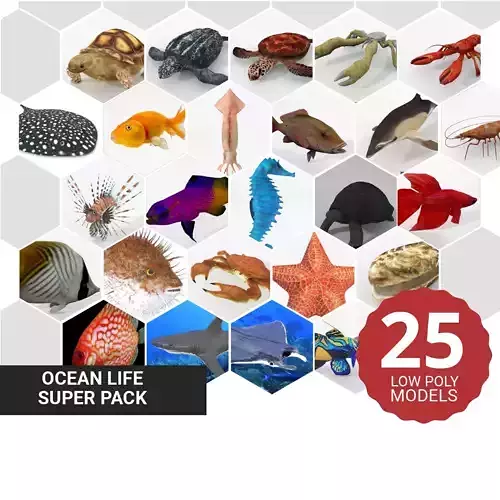 50 Low Poly Ocean Life Super Pack 3D Model Collection