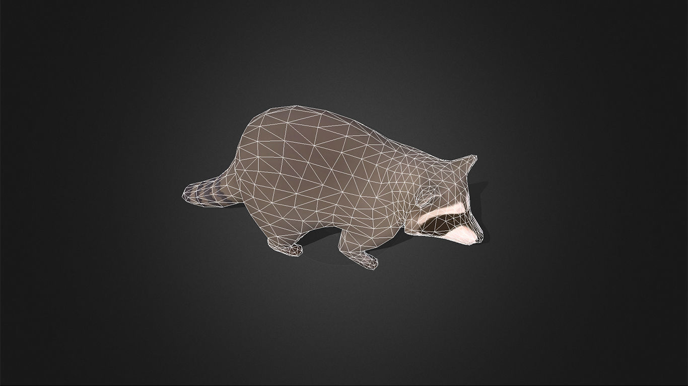 Low Poly Racoon - Idle Animated Low-poly 3D model_8