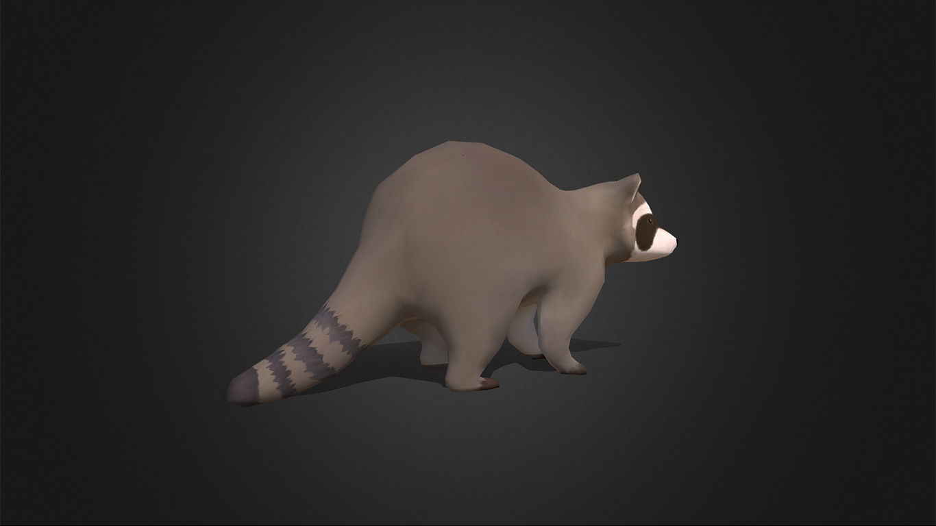 Low Poly Racoon - Idle Animated Low-poly 3D model_5