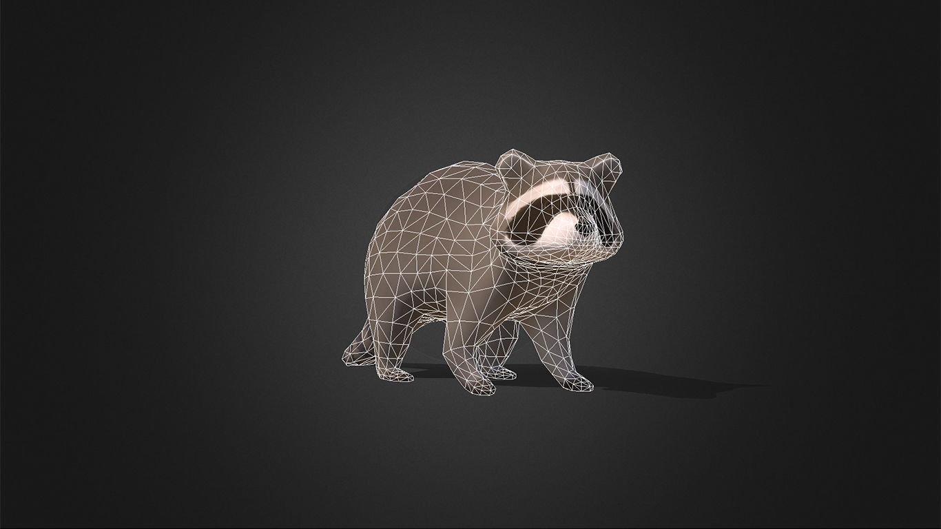 Low Poly Racoon - Idle Animated Low-poly 3D model_10