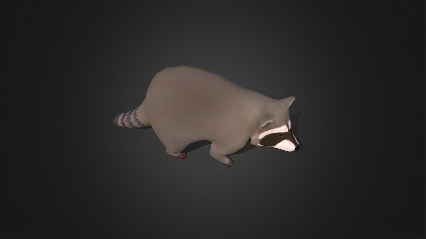 Low Poly Racoon - Idle Animated Low-poly 3D model_7