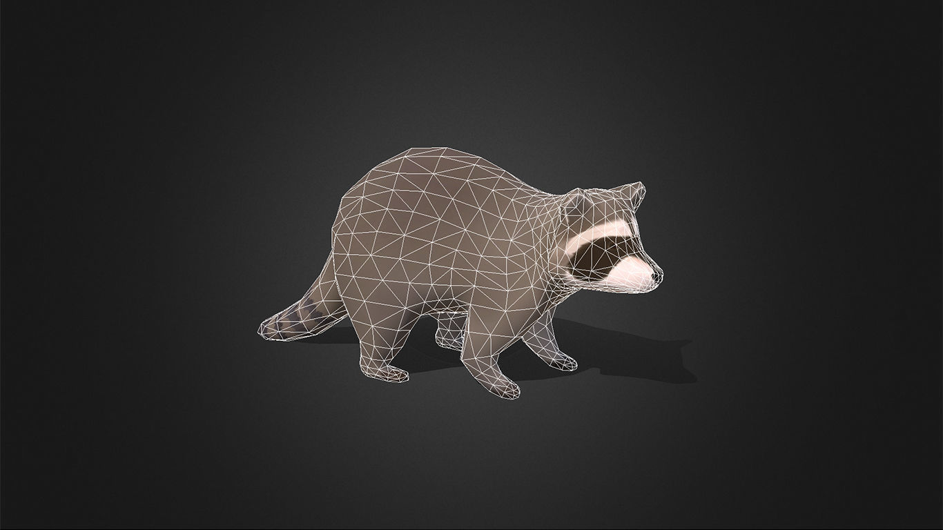 Low Poly Racoon - Idle Animated Low-poly 3D model_2