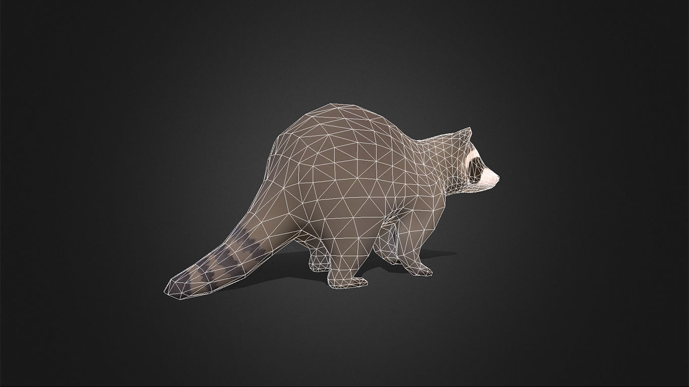 Low Poly Racoon - Idle Animated Low-poly 3D model_6