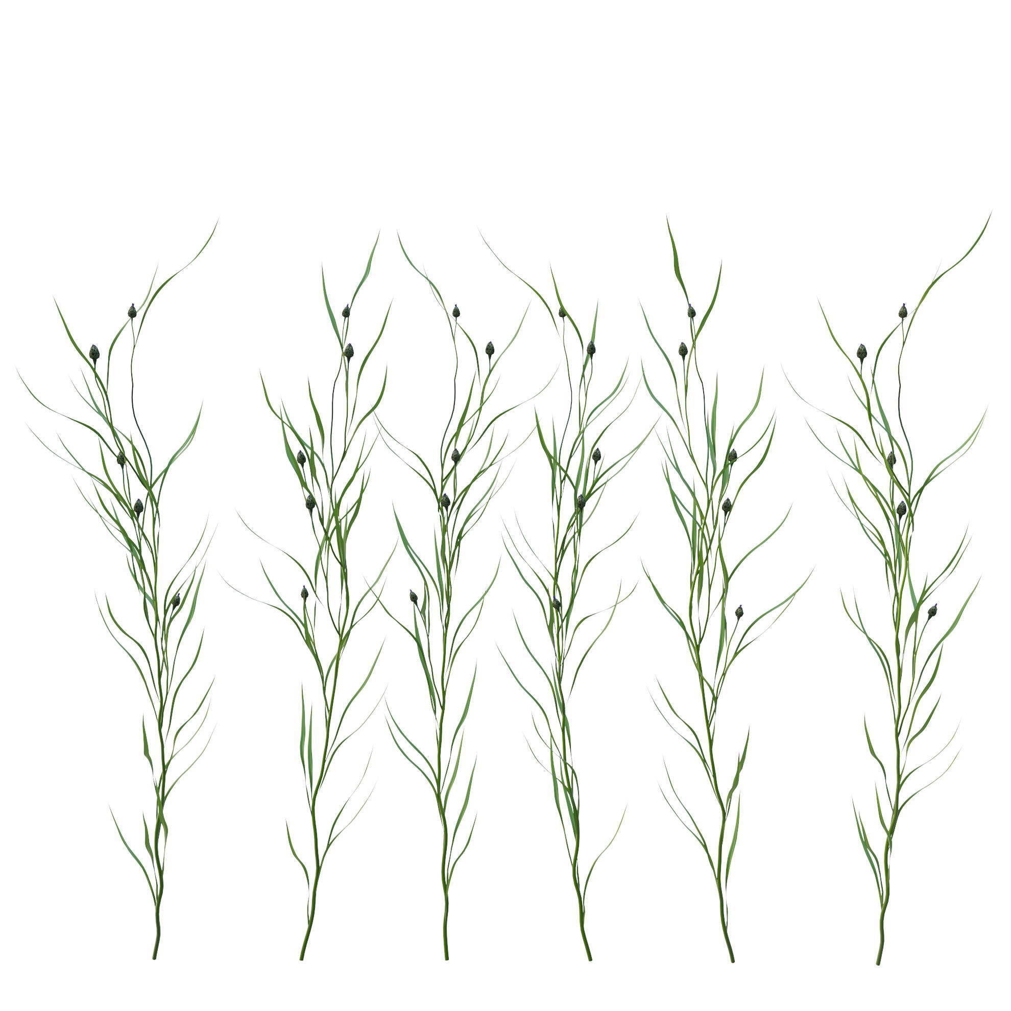 knapweed flower 3D model_12