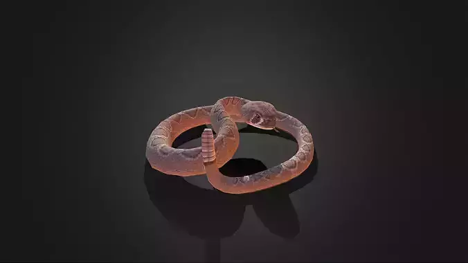 Low Poly Dessert Rattle Snake  - Idle Animated