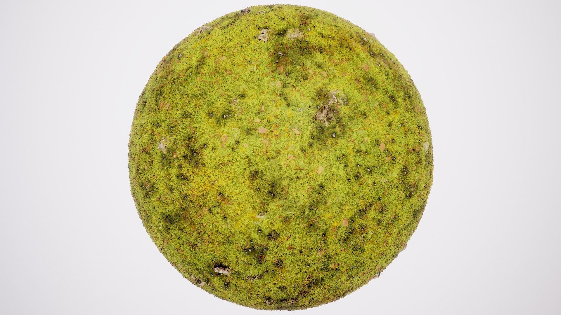 Ultimate Texture Library Texture_18