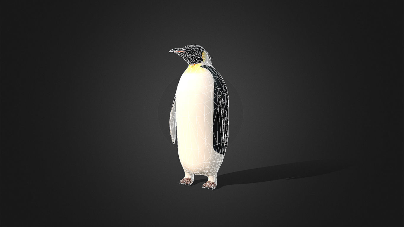 Low Poly Emperor Penguin  - Idle Animated Low-poly 3D model_10