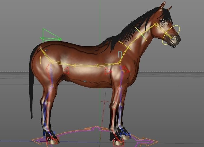 Horse rigging 3D model_8