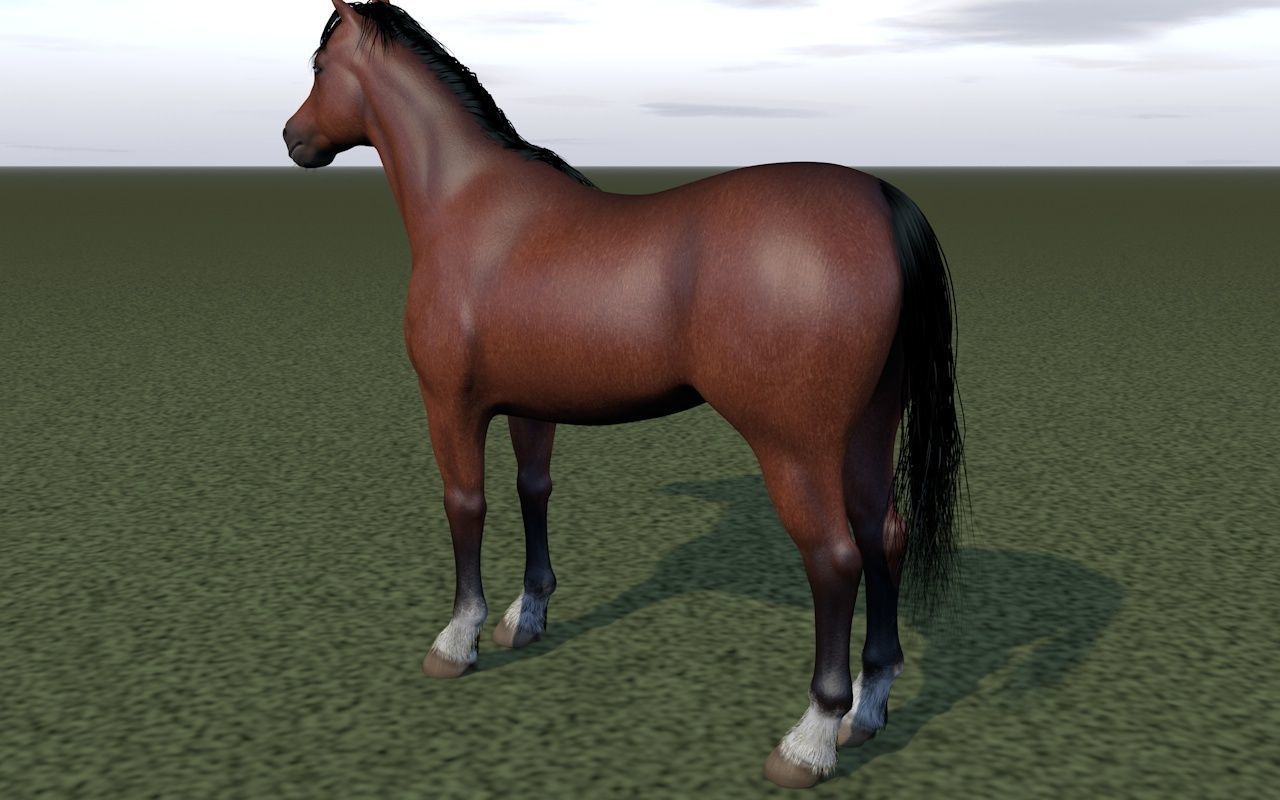 Horse rigging 3D model_2