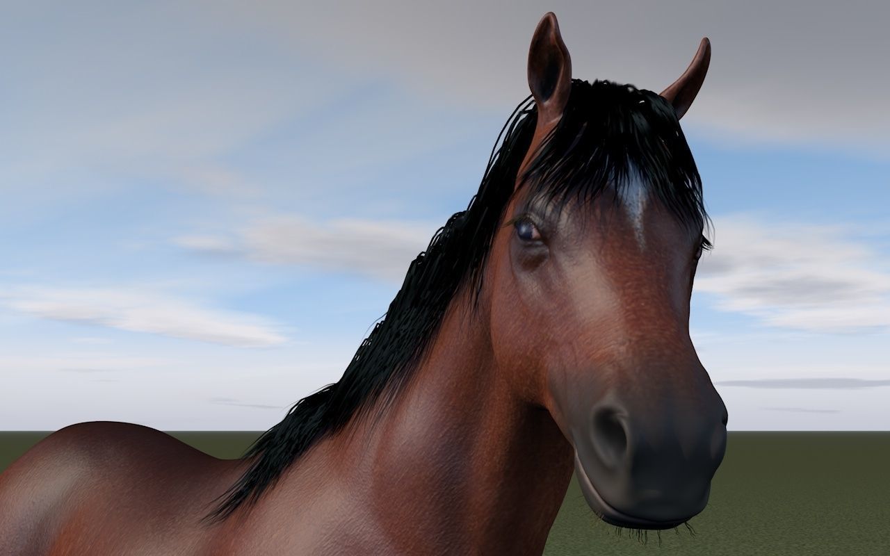Horse rigging 3D model_7