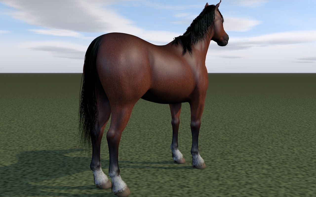 Horse rigging 3D model_3
