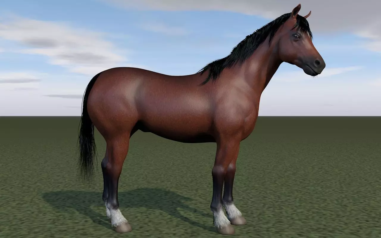 Horse rigging 3D model_0