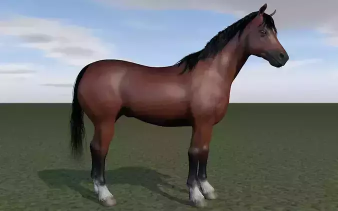Horse rigging 3D model