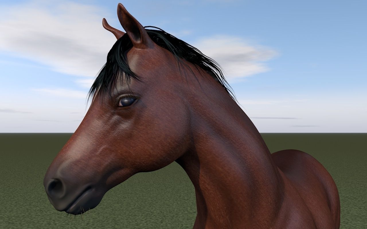 Horse rigging 3D model_6