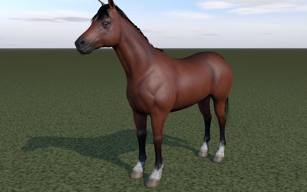 Horse rigging 3D model_1