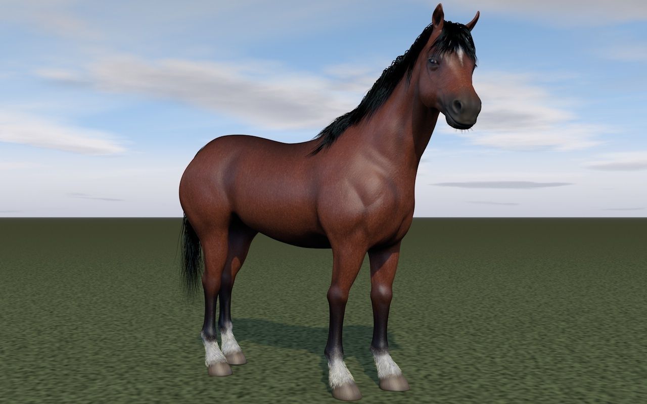 Horse rigging 3D model_4
