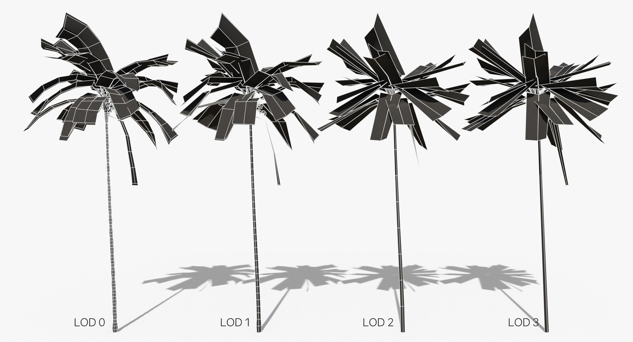 Coconut Palm Trees Asset 2 3D Model Collection_42