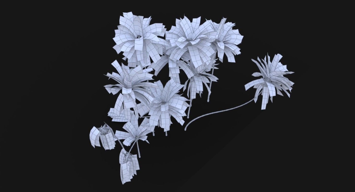 Coconut Palm Trees Asset 2 3D Model Collection_12