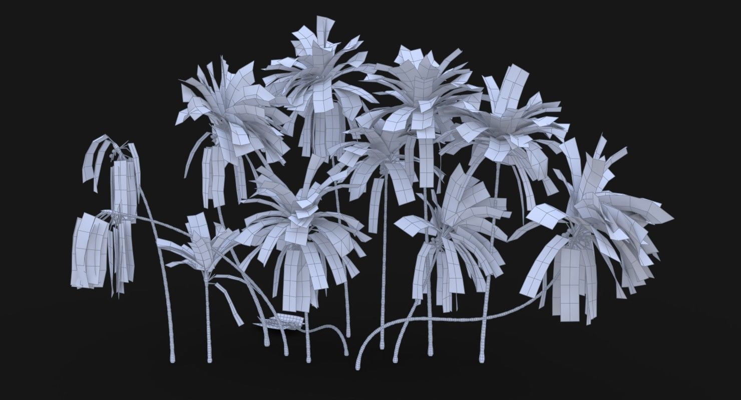 Coconut Palm Trees Asset 2 3D Model Collection_2