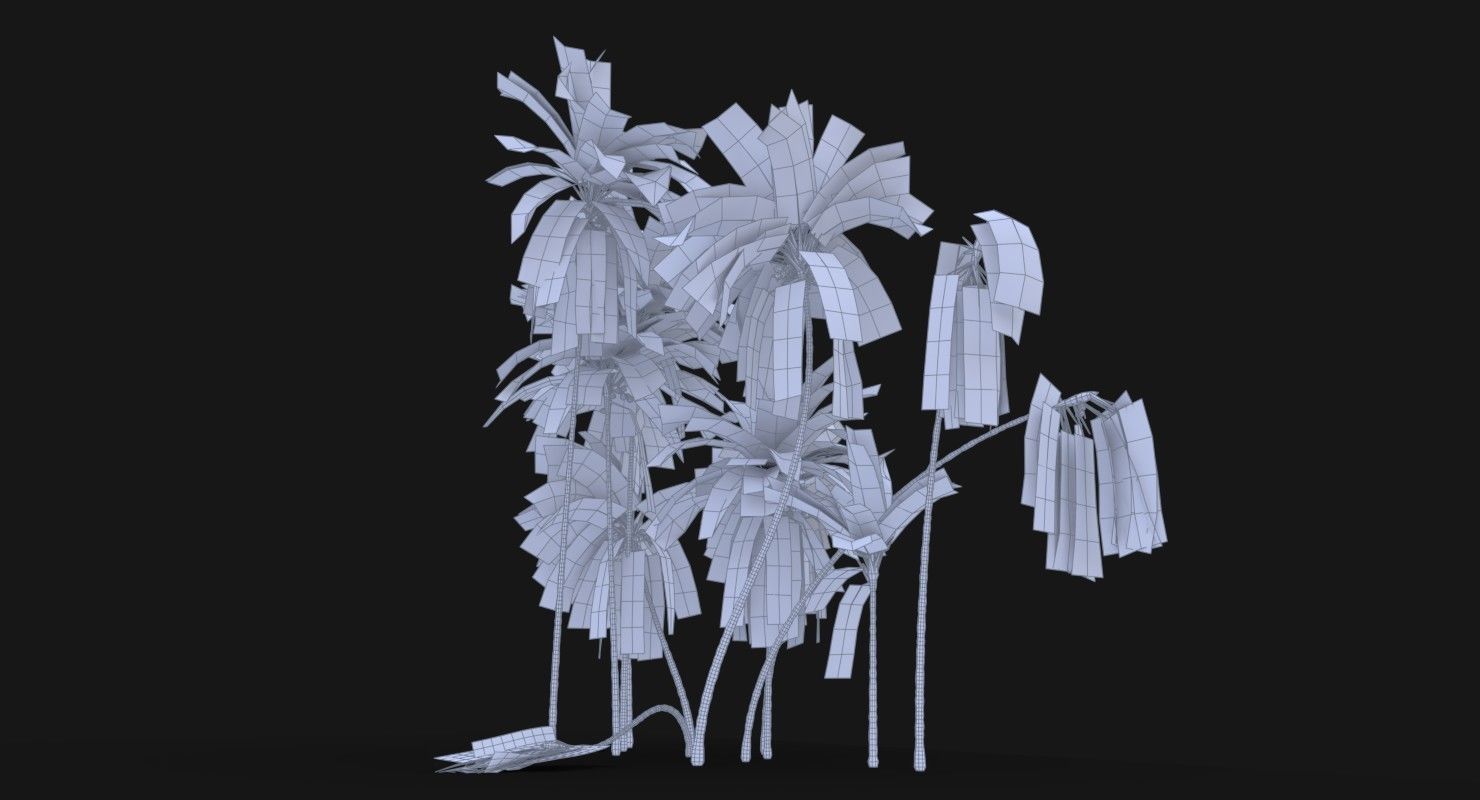 Coconut Palm Trees Asset 2 3D Model Collection_6