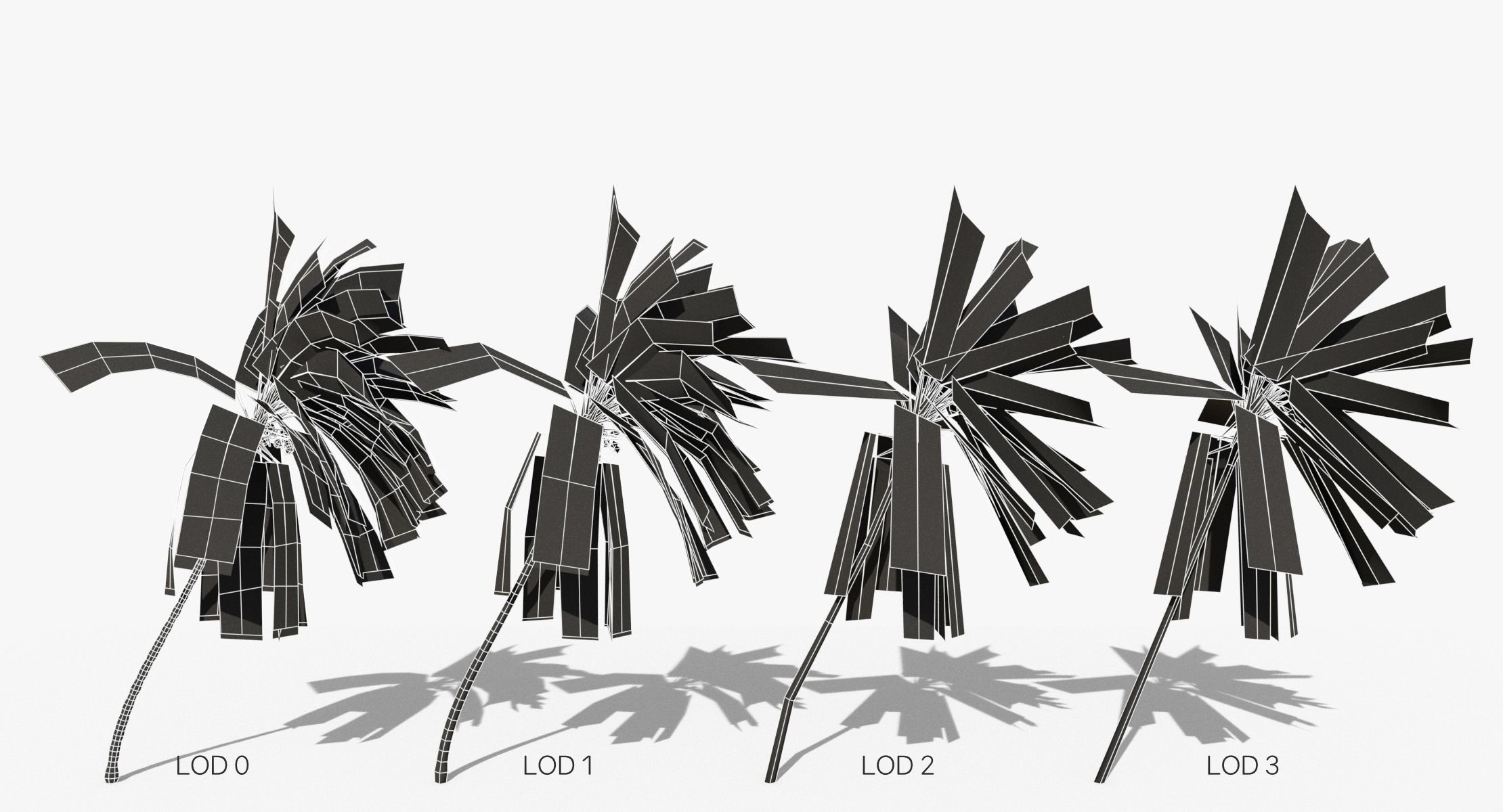 Coconut Palm Trees Asset 2 3D Model Collection_45