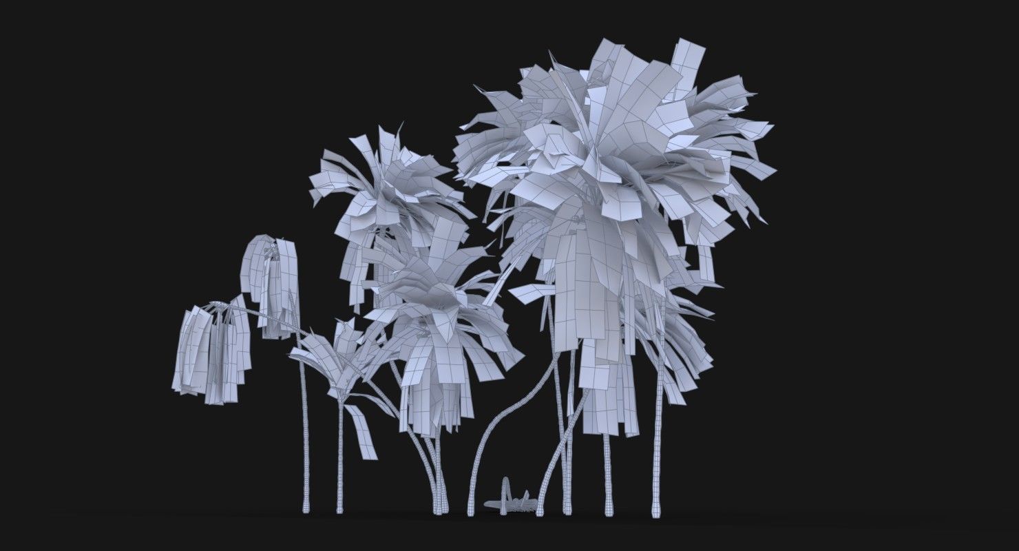 Coconut Palm Trees Asset 2 3D Model Collection_8