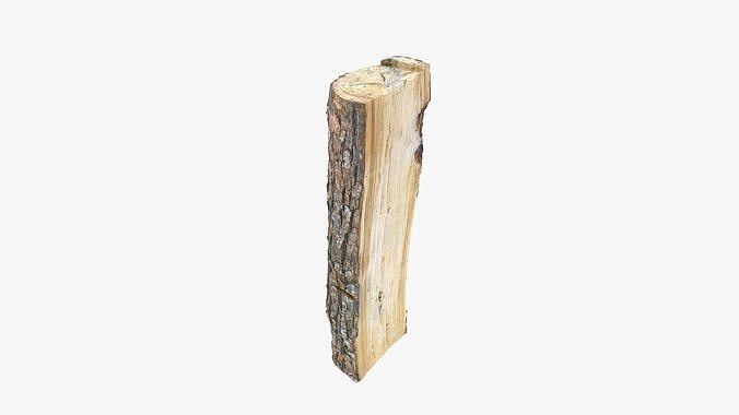 Log Pine Low-poly 3D model