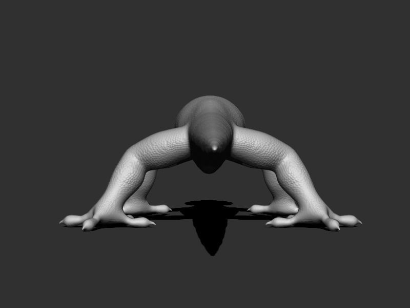 3D Gecko Low-poly 3D model_15