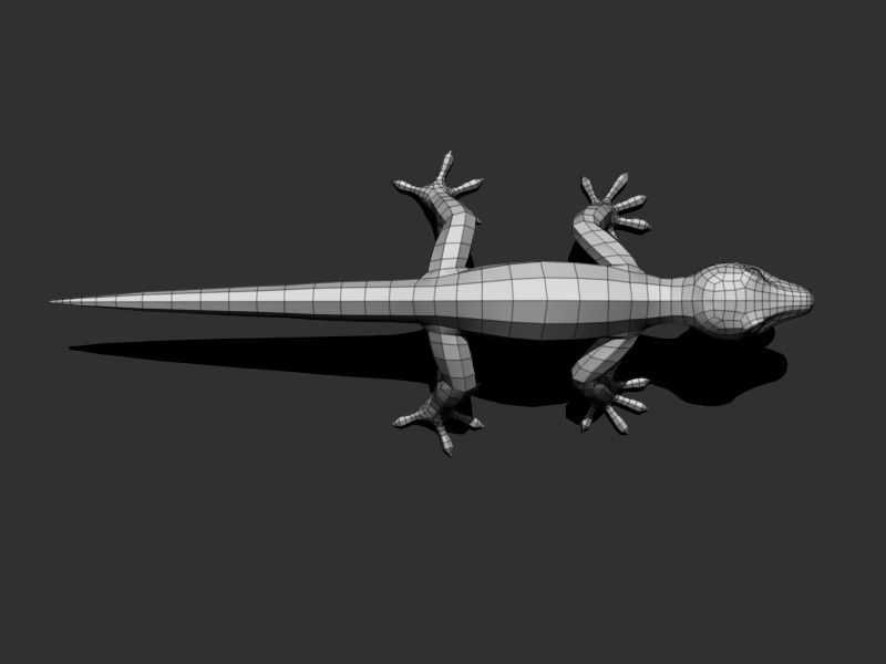 3D Gecko Low-poly 3D model_18