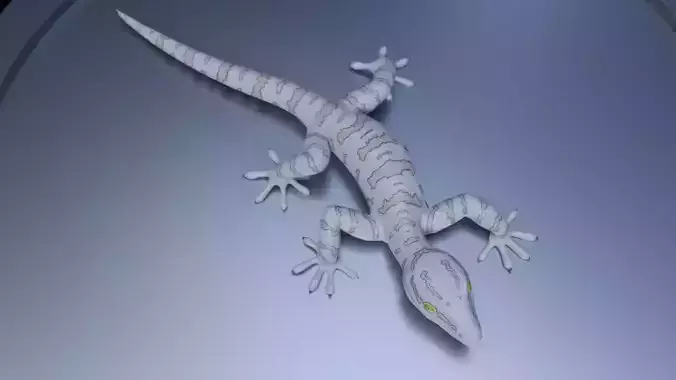 3D Gecko Low-poly 3D model