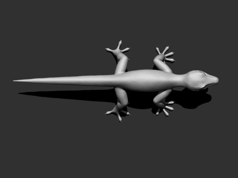 3D Gecko Low-poly 3D model_17