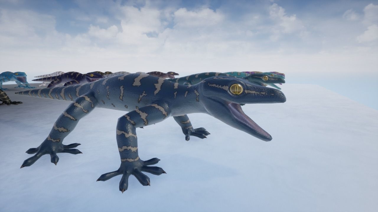 3D Gecko Low-poly 3D model_12