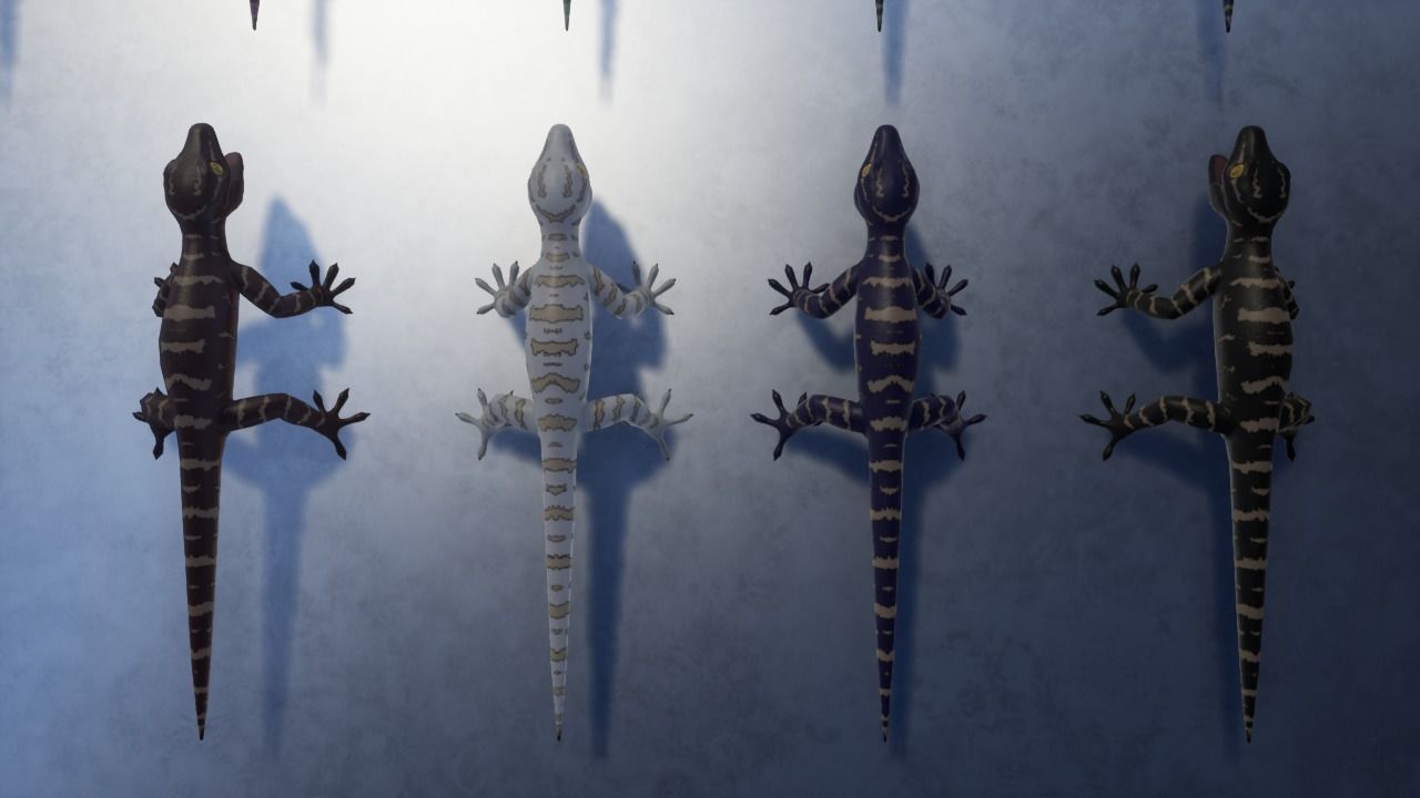 3D Gecko Low-poly 3D model_8