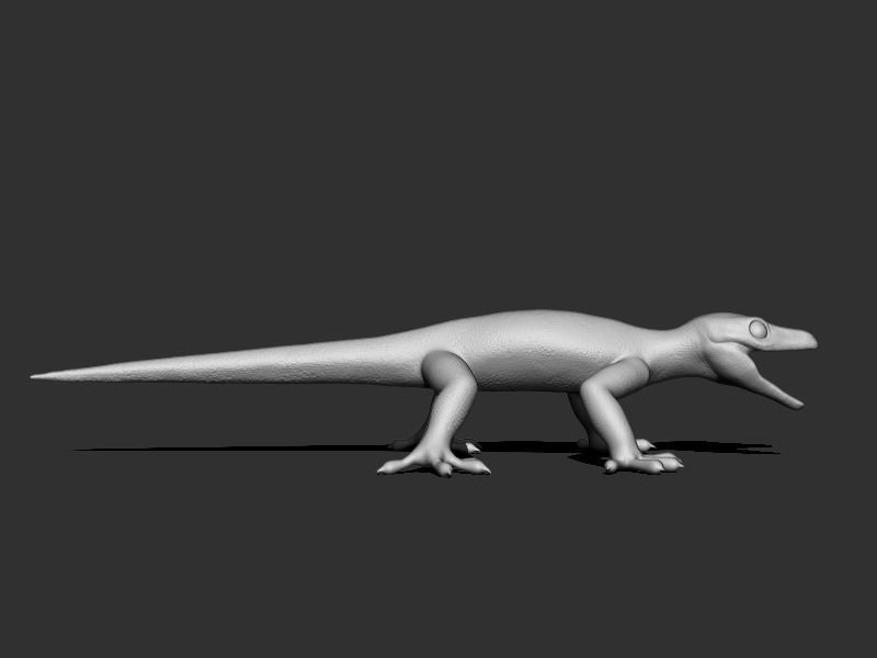 3D Gecko Low-poly 3D model_13
