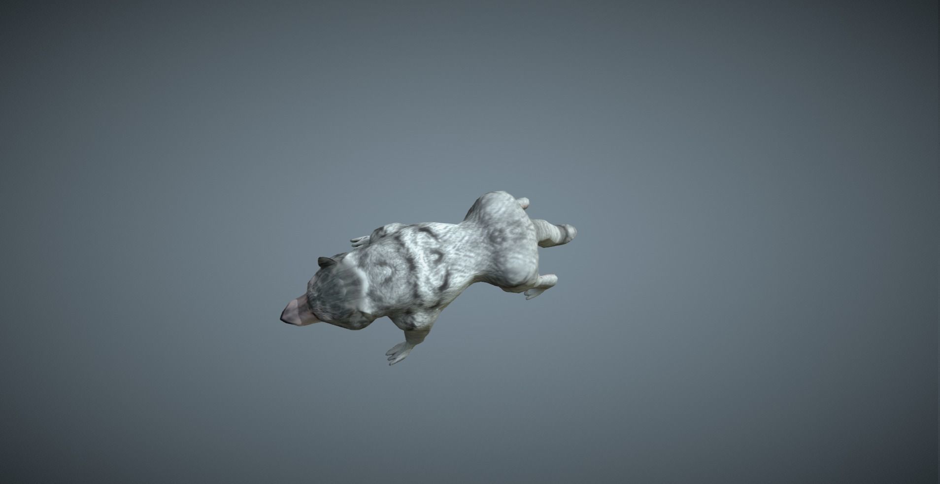 Wolf - low-poly model dog running Free low-poly 3D model_8