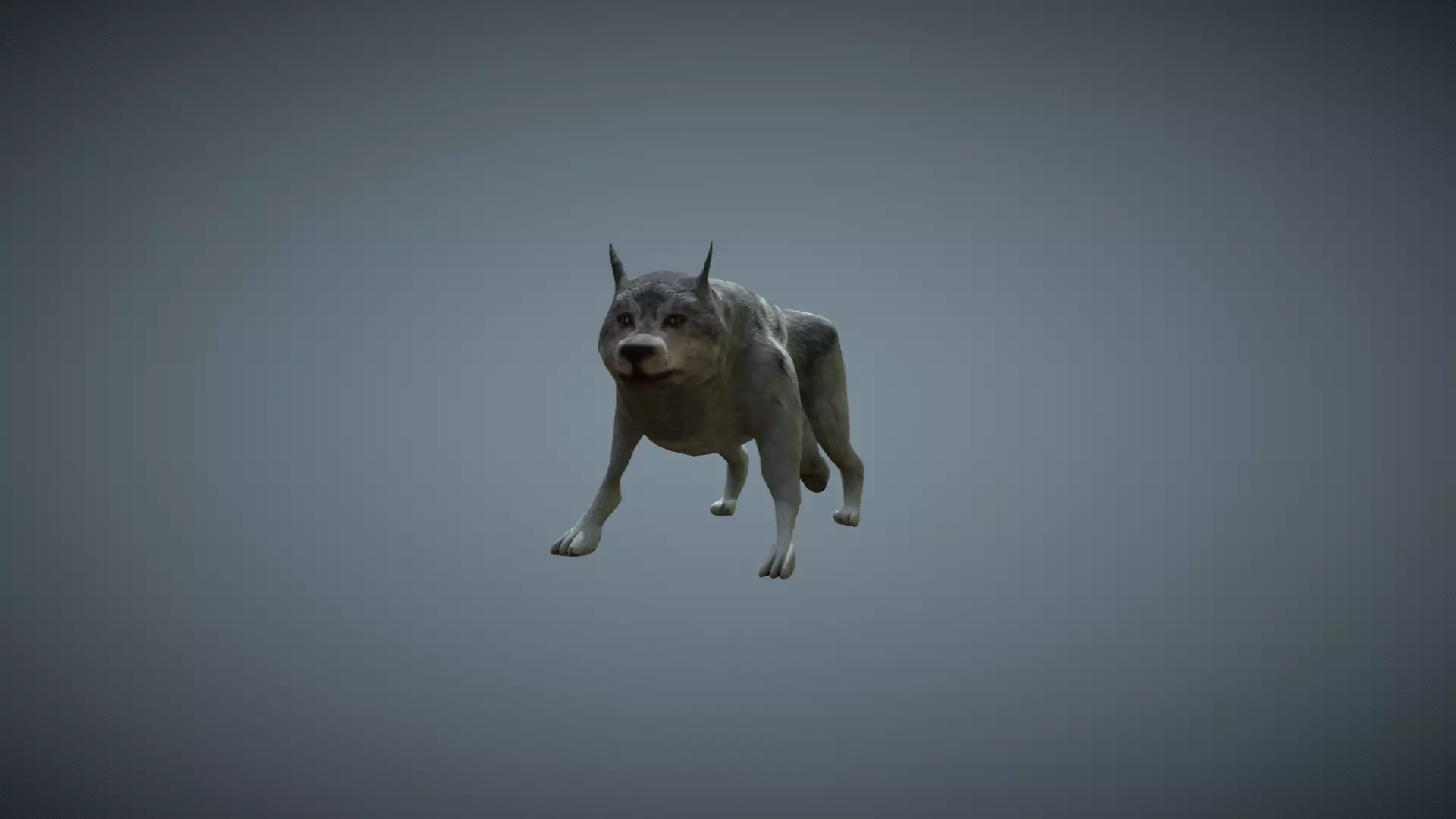 Wolf - low-poly model dog running Free low-poly 3D model_0
