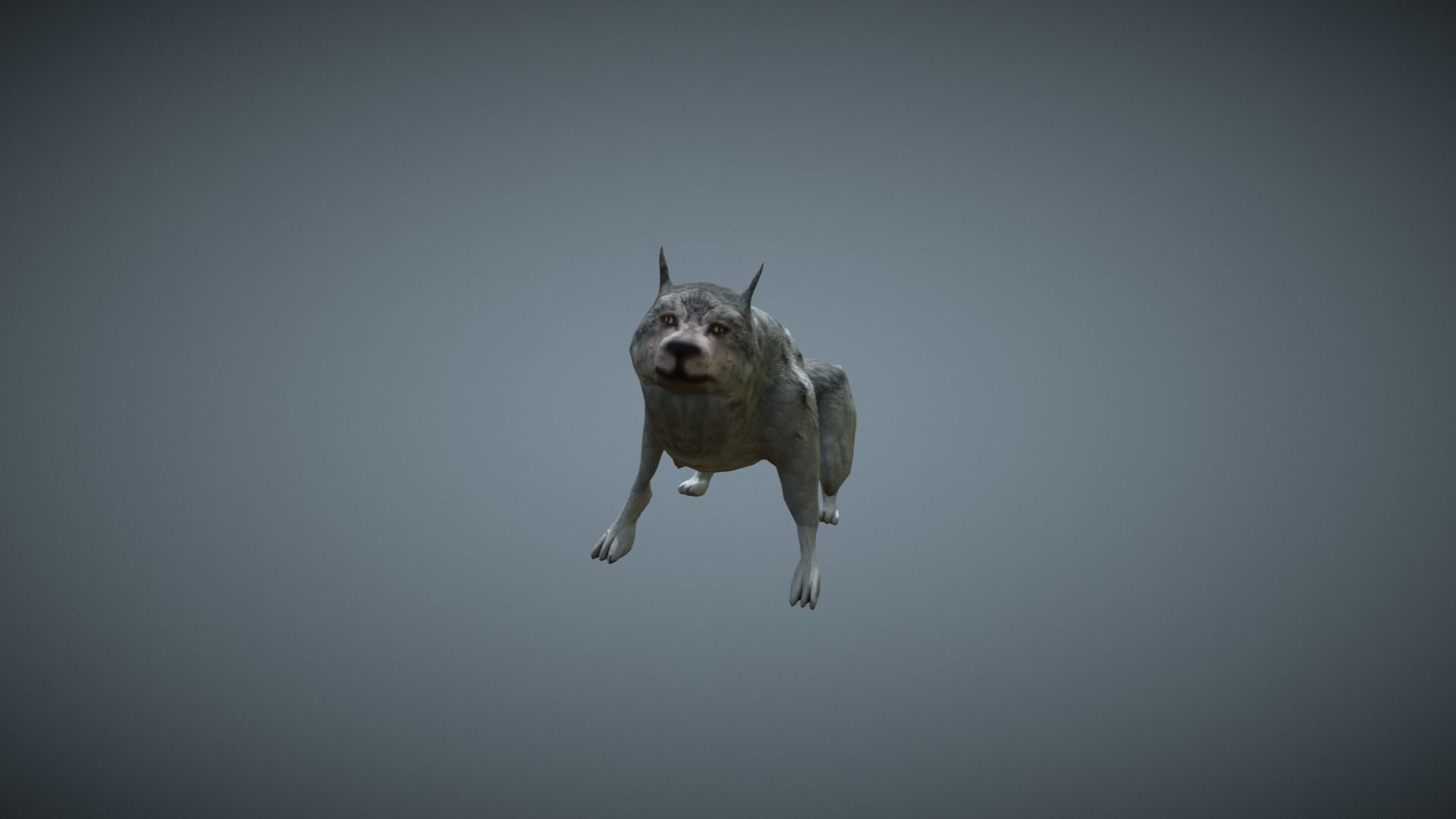Wolf - low-poly model dog running Free low-poly 3D model_10